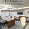 Smart Light Bulb LED Dimmable No Hub Required App and Voice Control Compatible with Alexa Google Assistant E26 Dimmable (G Gold, 1 Pack) - Image 13