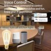 Smart Light Bulb LED Dimmable No Hub Required App and Voice Control Compatible with Alexa Google Assistant E26 Dimmable (G Gold, 1 Pack) - Image 12