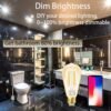 Smart Light Bulb LED Dimmable No Hub Required App and Voice Control Compatible with Alexa Google Assistant E26 Dimmable (G Gold, 1 Pack) - Image 5