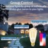 Smart Light Bulb LED Dimmable No Hub Required App and Voice Control Compatible with Alexa Google Assistant E26 Dimmable (G Gold, 1 Pack) - Image 7