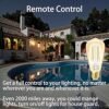 Smart Light Bulb LED Dimmable No Hub Required App and Voice Control Compatible with Alexa Google Assistant E26 Dimmable (G Gold, 1 Pack) - Image 11